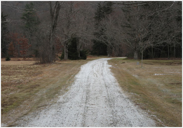 Snow on a dirt path.