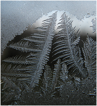 Frost on glass.