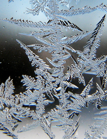 Frost patterns.