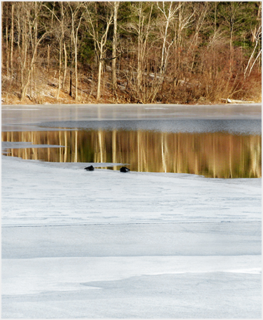 Ice on lake.