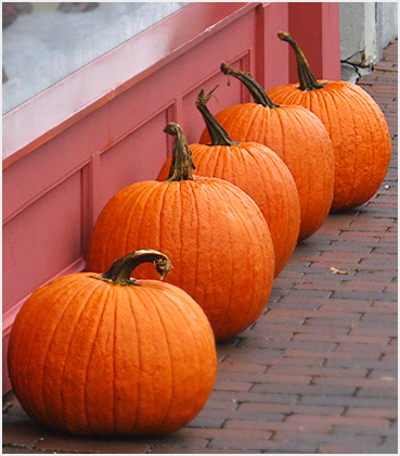 Pumpkins.