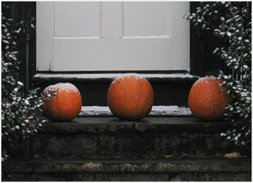 Pumpkins.