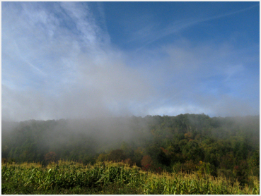 Morning mist.