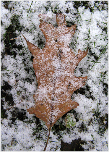 First snow.