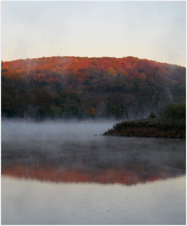 mist on river.