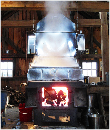 maple syrup evaporator