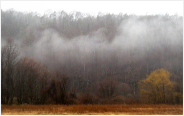 Lake, clouds, fog.