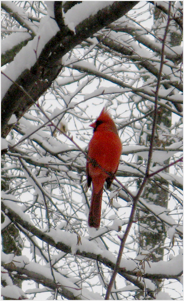 Late snow.