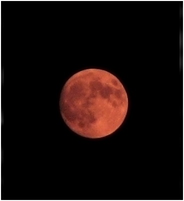 Orange summer moon, almost full.