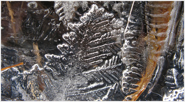 Patterns in wetland ice.