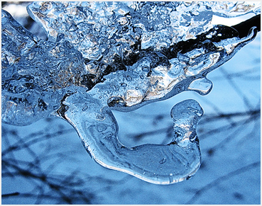 Ice on a branch in Litchfield, CT.