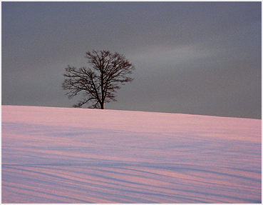 Suset illuminates a snow-covered field in Northfield.