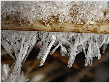 Frost on dried grass.