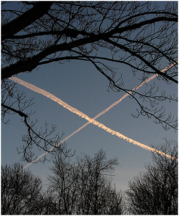 Condensation trails in the dawn sky.