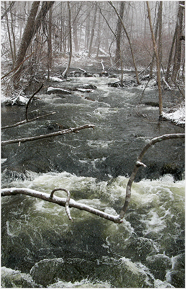 Rushing stream.