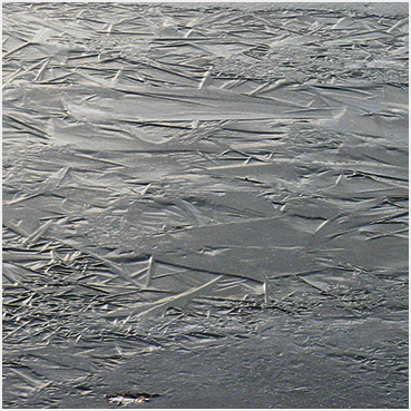 Pond ice.