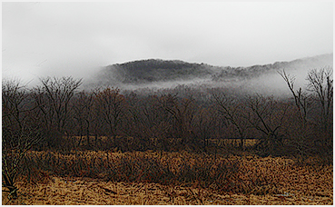 Low clouds.