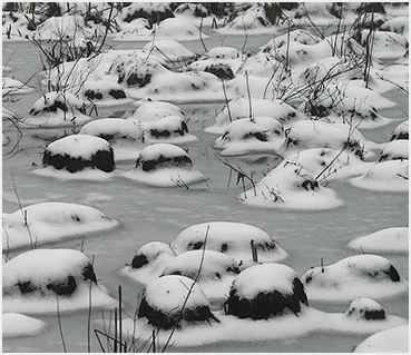 Snow and water.