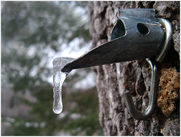 Frozen tap.