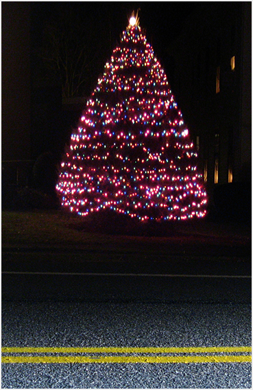 Tree with lights.