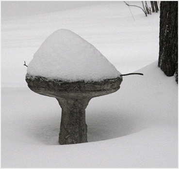 Snow on birdbath.