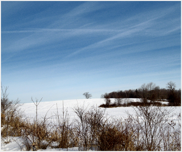 Snow and sky.