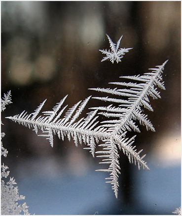 Frost on window.