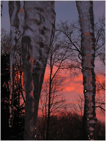 Icicle.