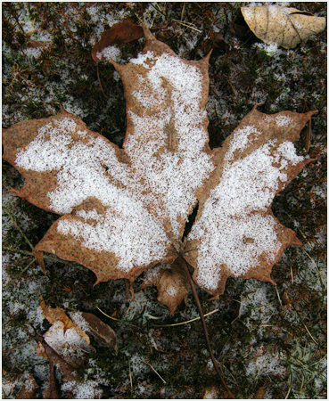 Late snow.