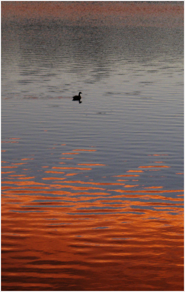 Sunset on lake.