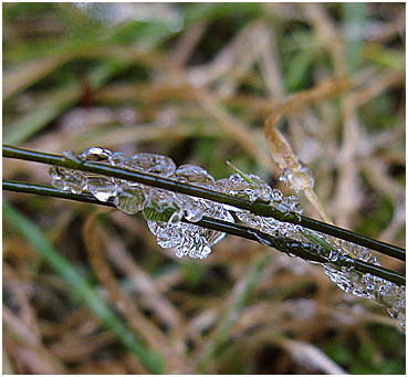 Freezing rain.